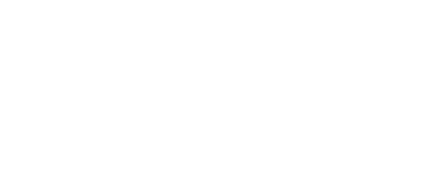 bild logo